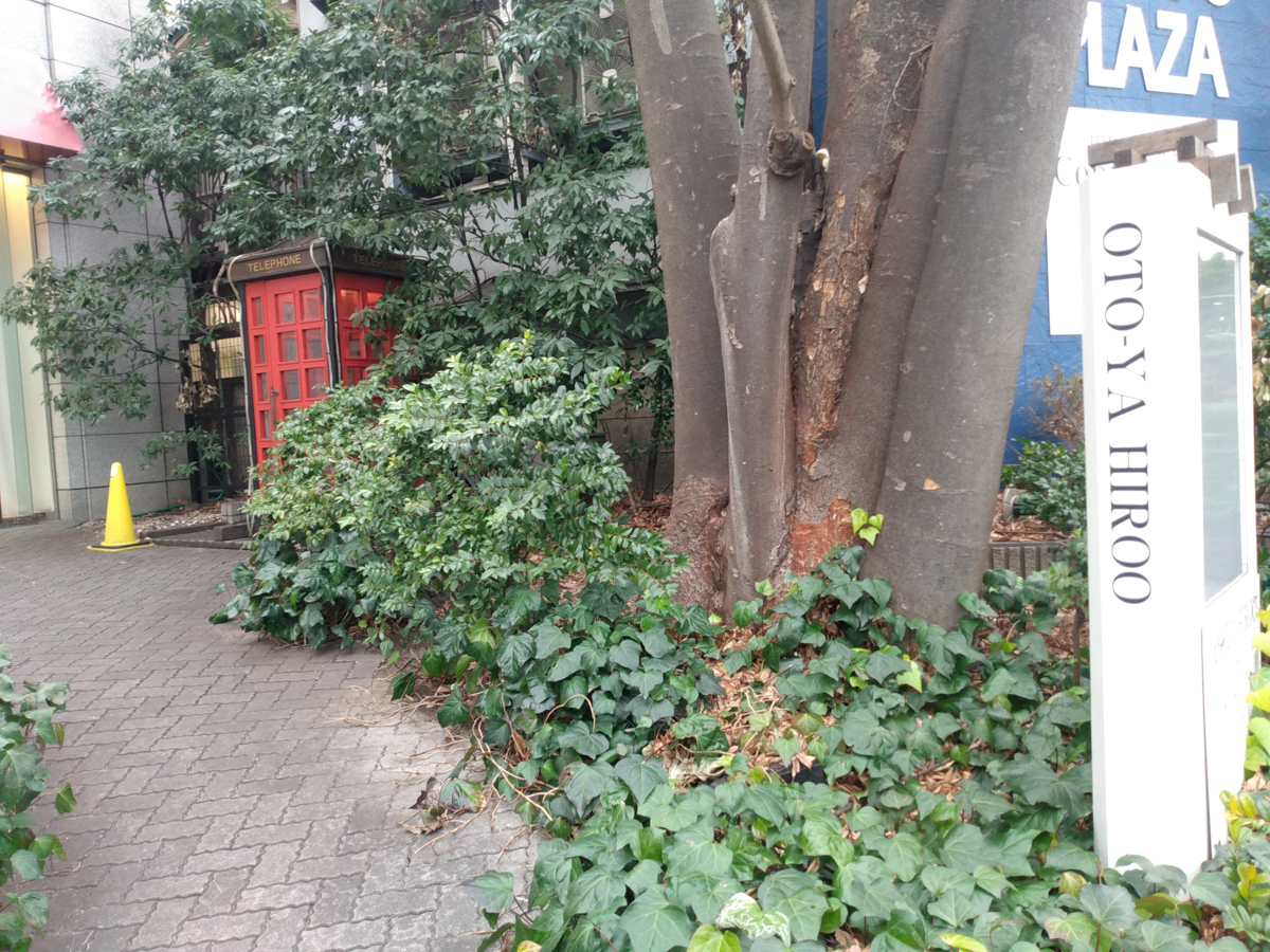 Figure 14: Welcome to Oto-ya Hiroo